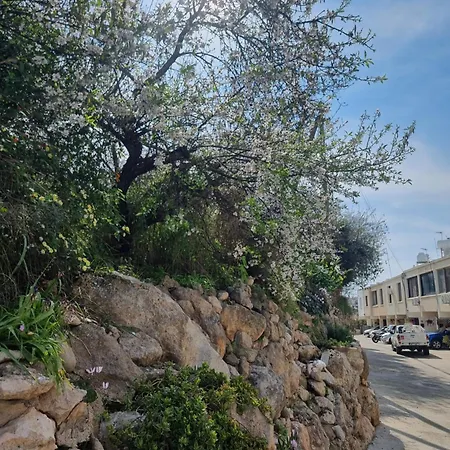 בית נופש Mediterranean Valley *